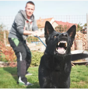 Man with barking dog